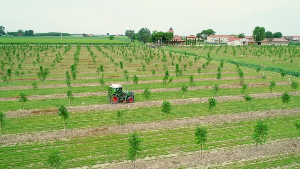 Noceto e in lontananza San Gaetano